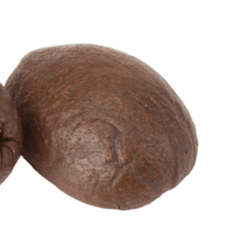 image1178.png